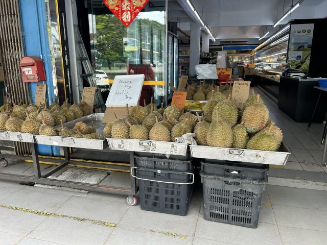 地方不動産屋が年末年始をマレーシアで過ごしてみた②